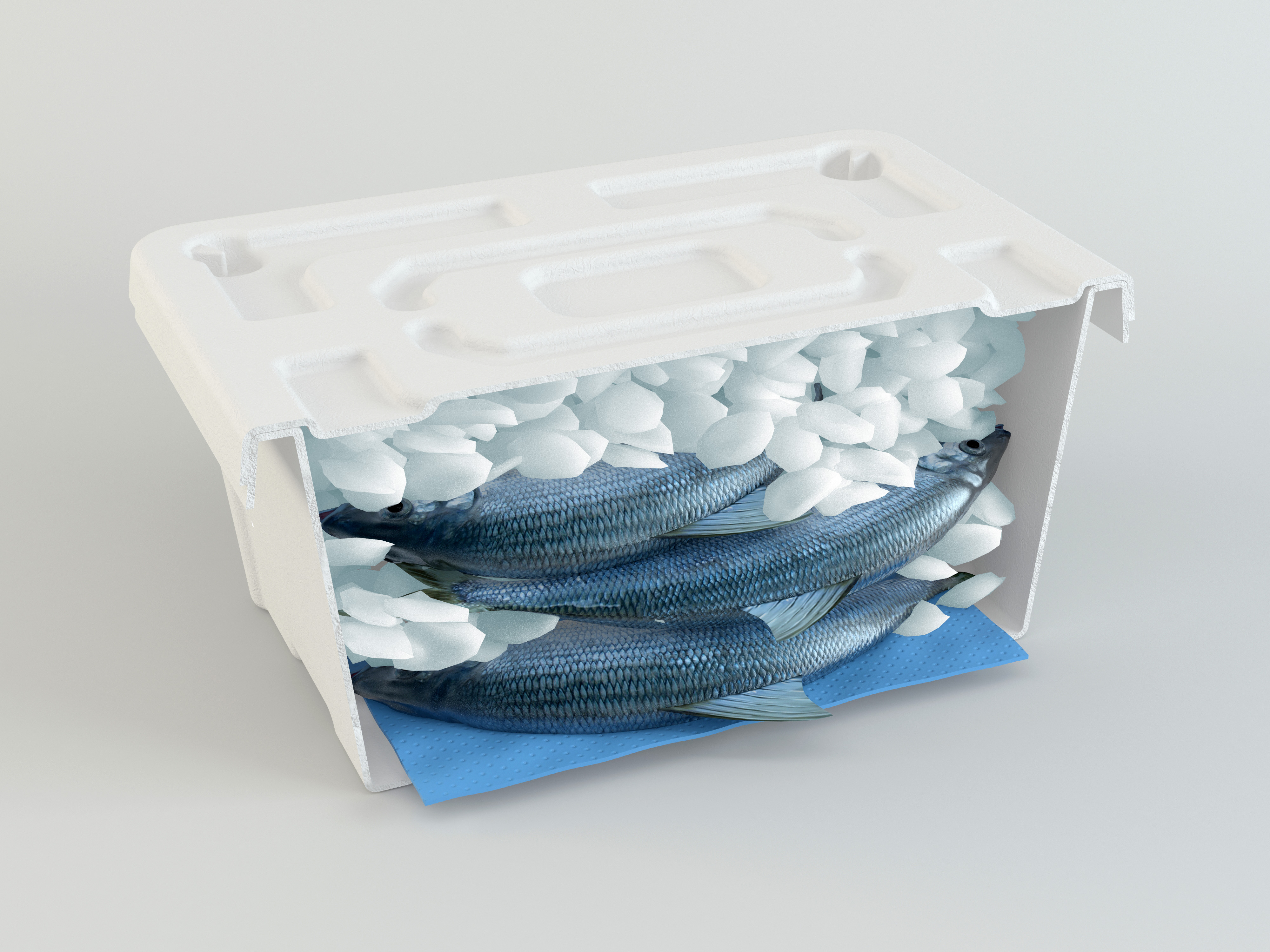 WorldStar Winner: Fiber Box - Beyond The Catch